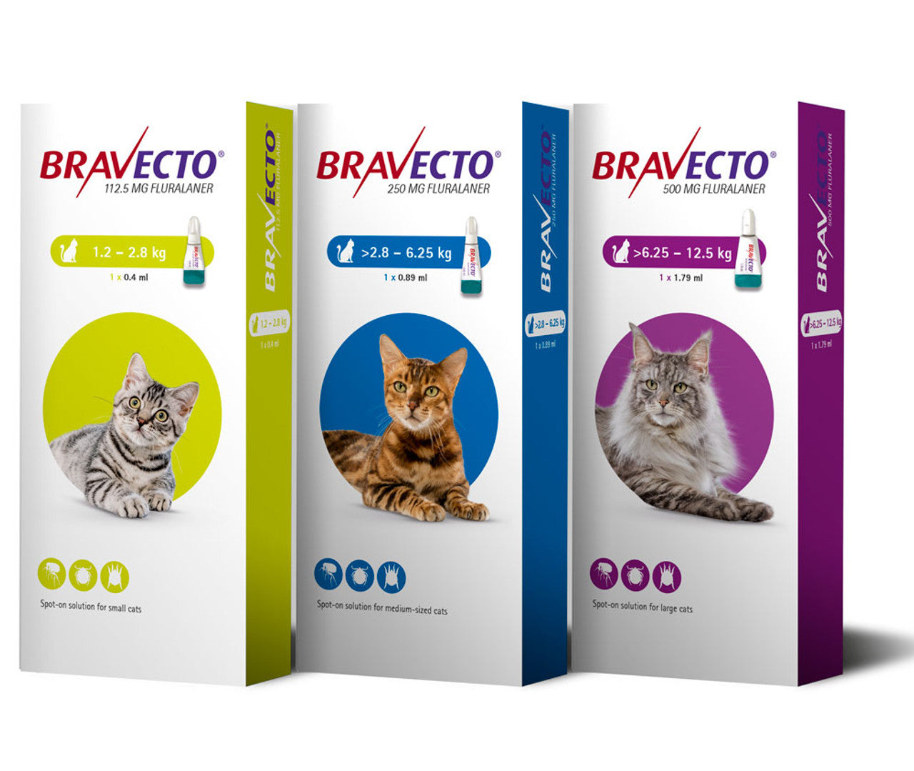 Bravecto Cat