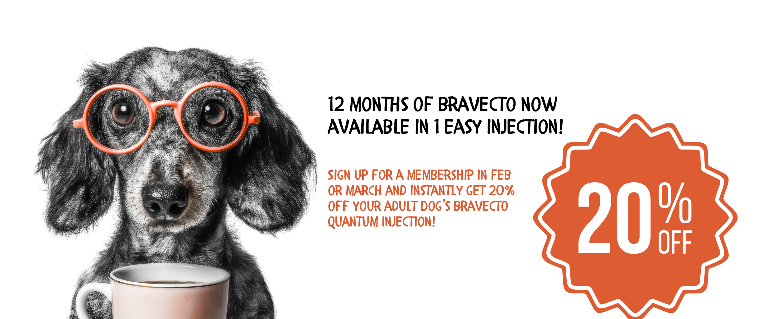 Trenton Pet Hospital